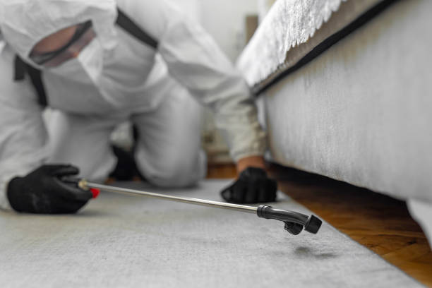 Professional Termite Control technician working in Rocky Point, WA