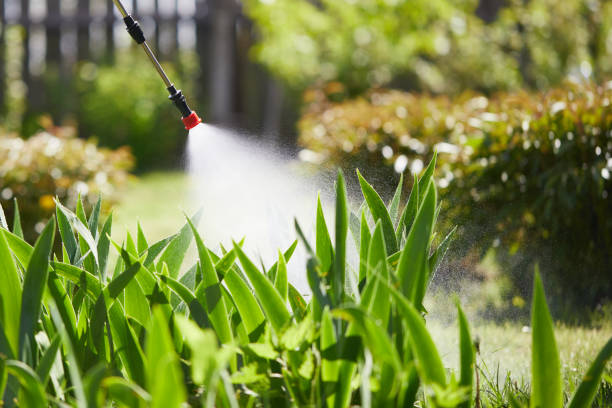 24/7 Emergency Termite Control experts in Rocky Point, WA